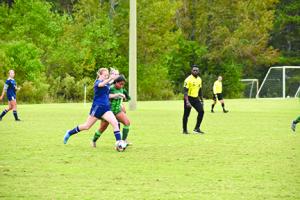 DSC_0281